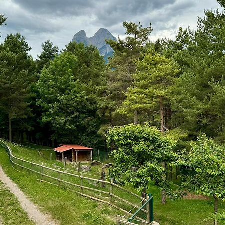 Cal Roig - Pedraforca Villa Saldés Eksteriør bilde