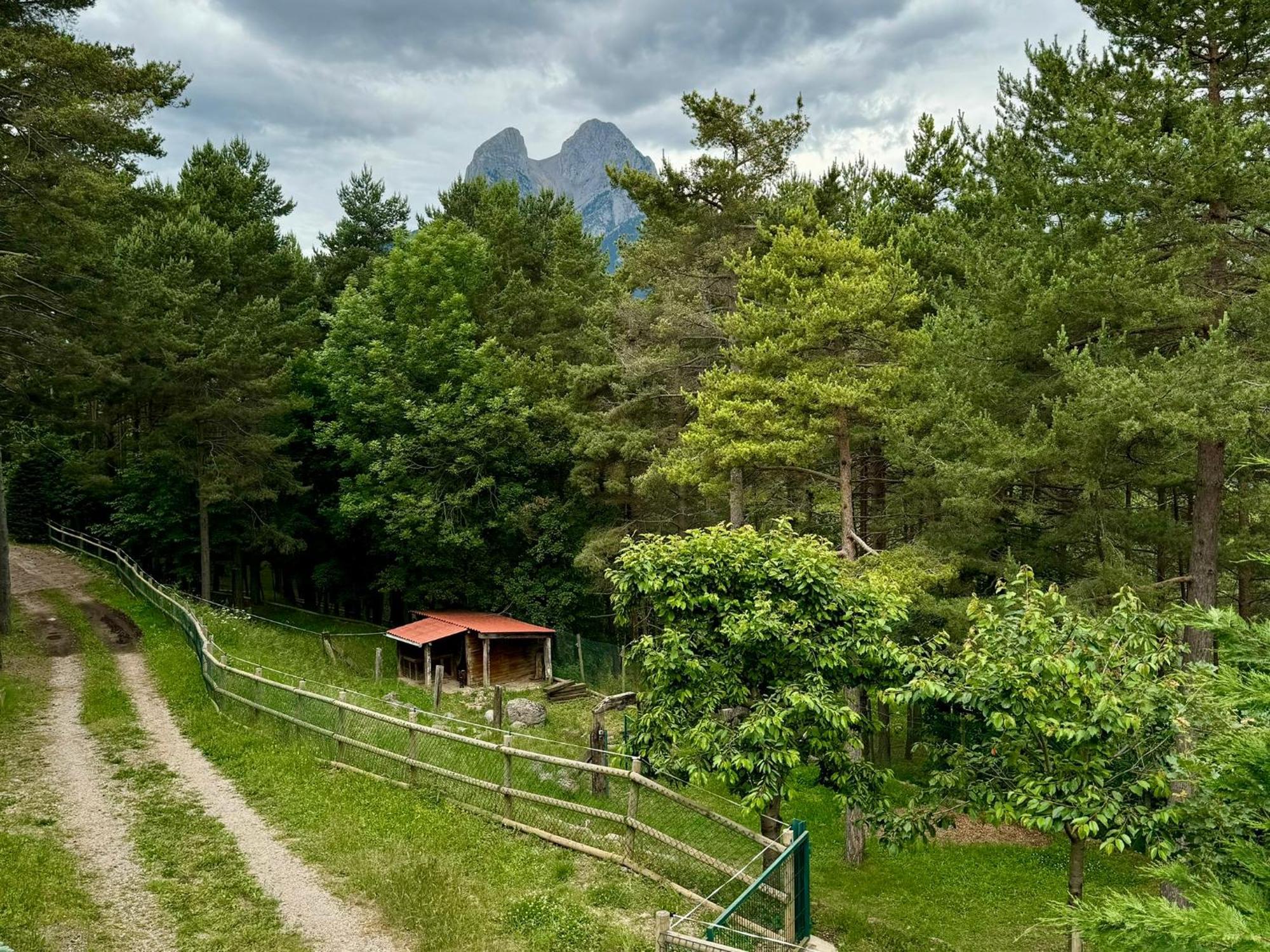 Cal Roig - Pedraforca Villa Saldés Eksteriør bilde